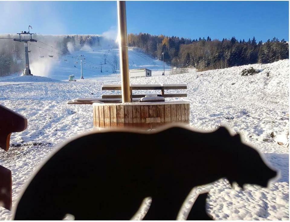 اوسترزوكي دولن Pensjonat Laworta Ski المظهر الخارجي الصورة