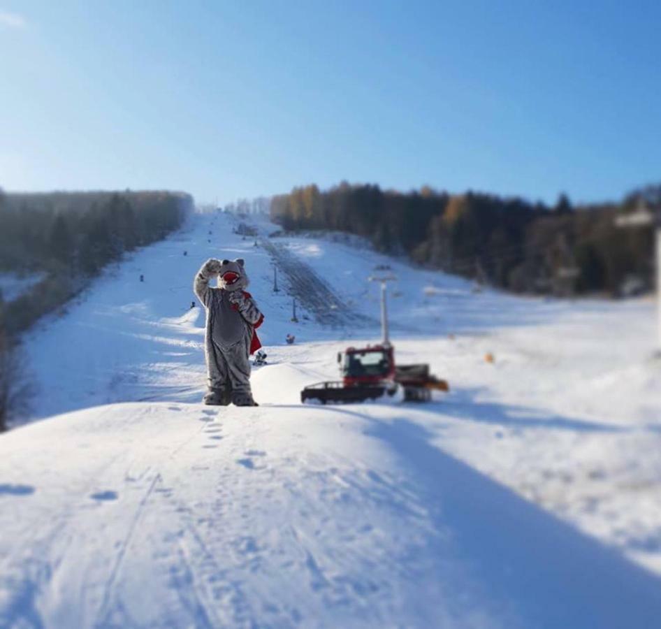 اوسترزوكي دولن Pensjonat Laworta Ski المظهر الخارجي الصورة